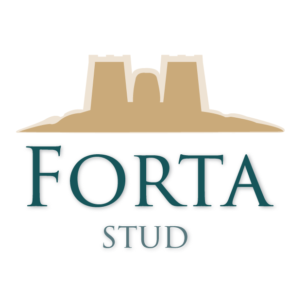 Forta Stud