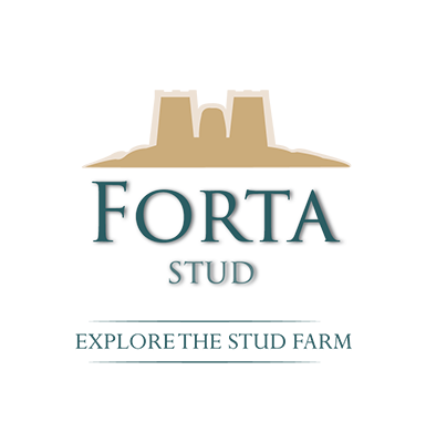 Forta Stud - Explore The Stud Farm