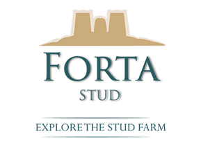 Forta Stud - Explore The Stud Farm