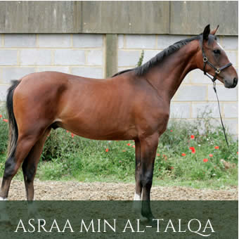 AsraaMinAlTalqaProgeny