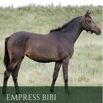 empressbibiprogeny