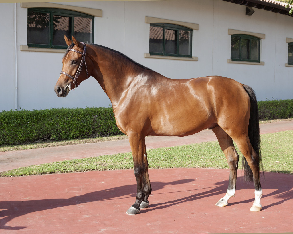 Faramir Forta Mane tidied